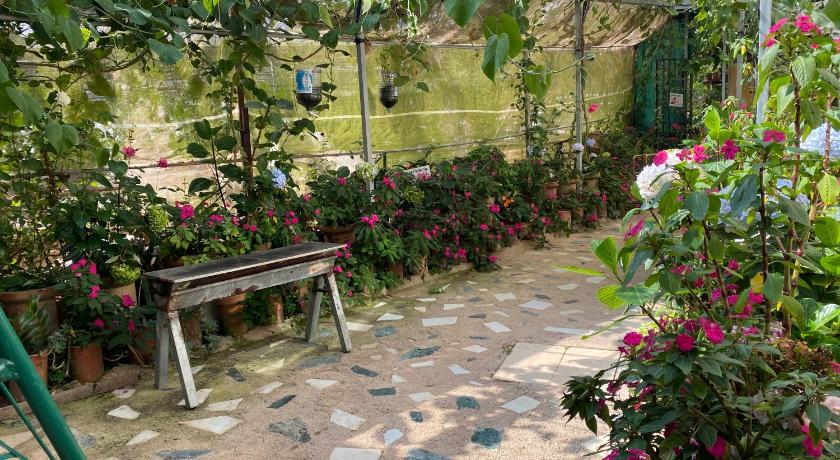 金马仑高原 New famer hut 3星级 单人房 泳池