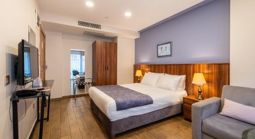 La Wisteria Boutique Hotel Istanbul - image 11