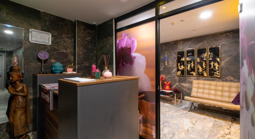 La Wisteria Boutique Hotel Istanbul - image 3