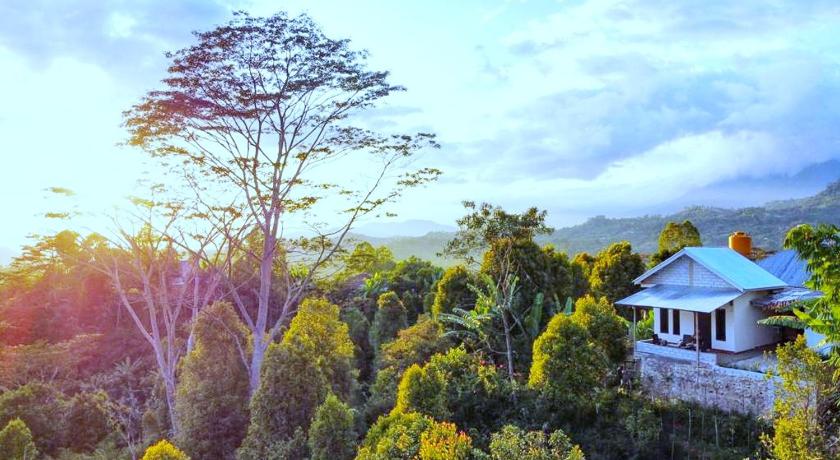 Sun Rice Homestay photo