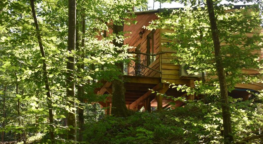 La cabane aux ecureuils