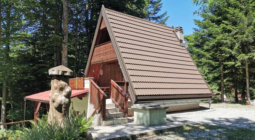 KOCA PLANIKA, SVISCAKI photo