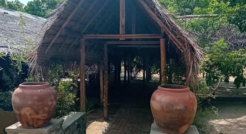 Wild Wadi Wilpattu photo