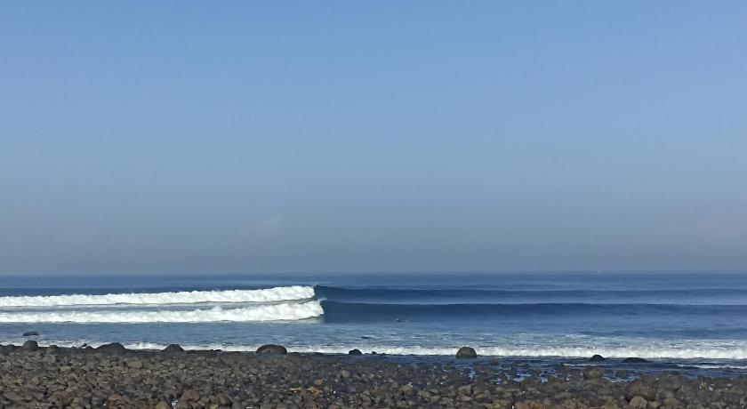 Ayolah surf House & Surf Camp Medewi photo