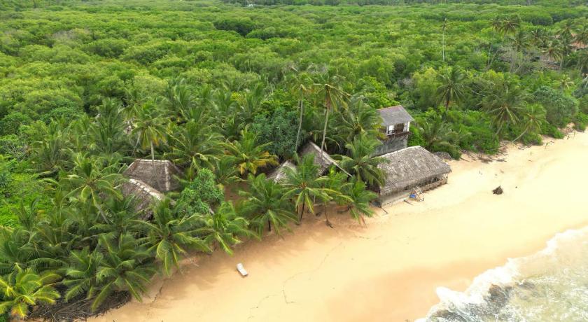 The Alpha Monkey hotel & Tree house photo