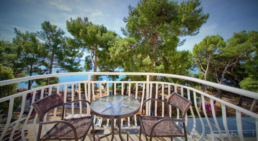 Hotel Bor photo