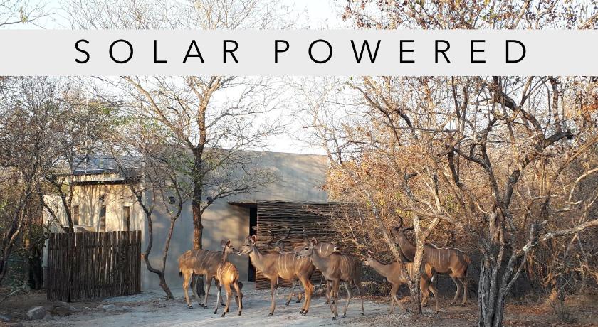 Terrapin Studio — Hotel in Kruger National Park