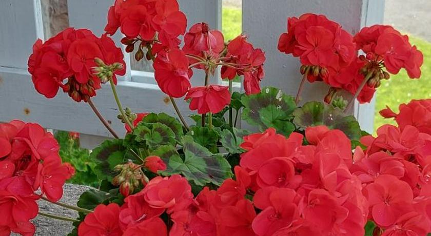 Pilane B&B photo