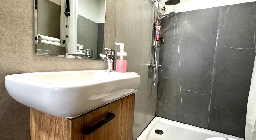 蒂米什瓦拉 Chic Studio 4星级 单人房 大堂