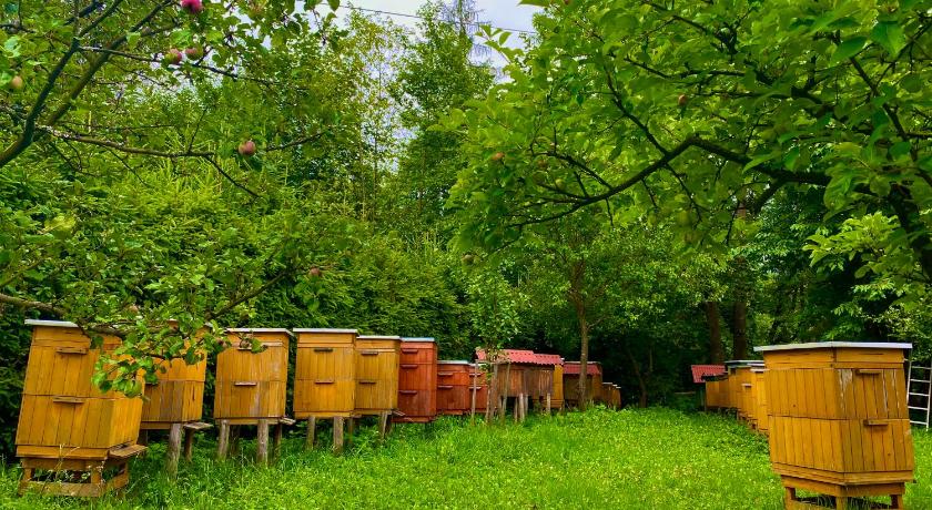 자코파네 Agroturystyka SKALNE 4성급 게스트하우스 수영장