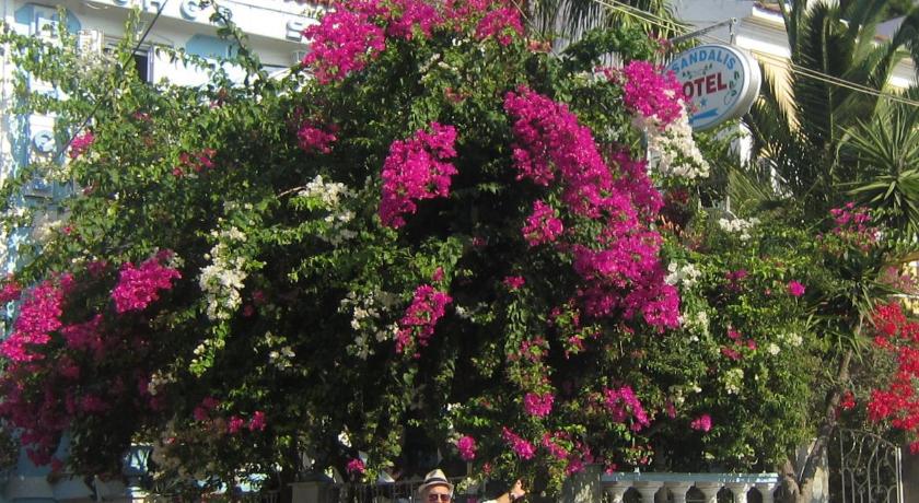 Sandalis Hotel photo