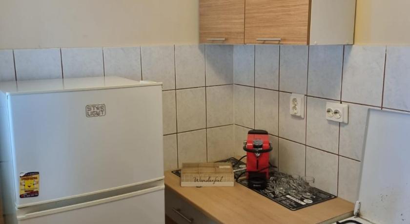 ティミショアラ Oscar's Central Apartment 4つ星 シングルルーム 施設