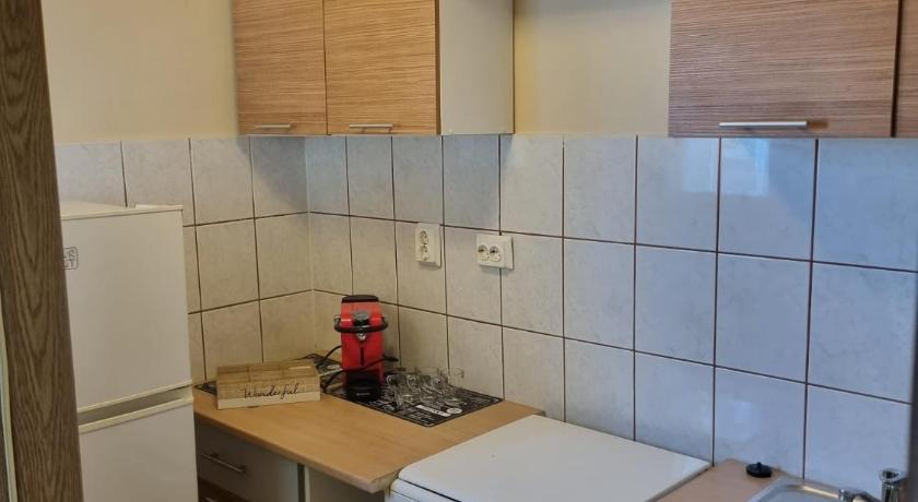 蒂米什瓦拉 Oscar's Central Apartment 4星级 单人房 客房