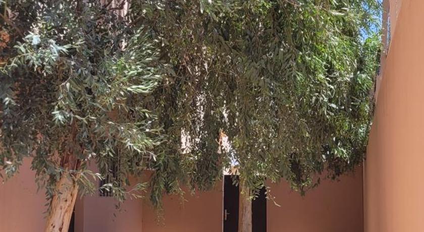 درة نجد ببريده photo