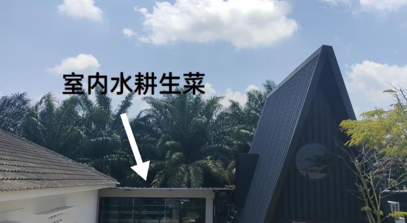 Bean & Bed Guesthouse photo