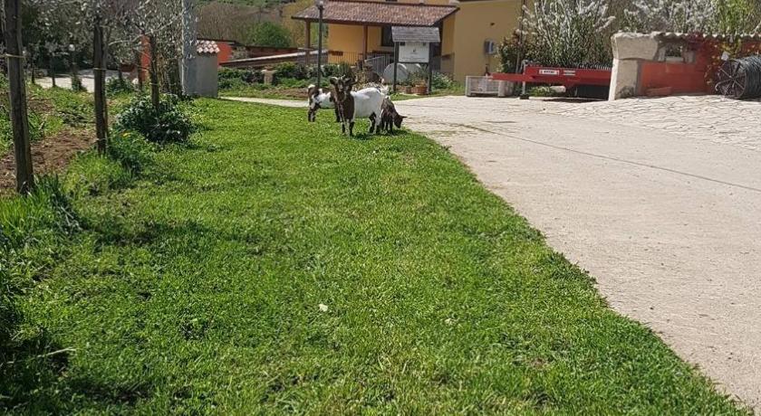 Agriturismo San Tommaso