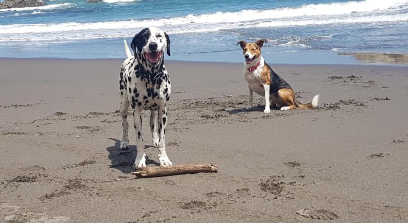 Port Waikato Holiday Park photo