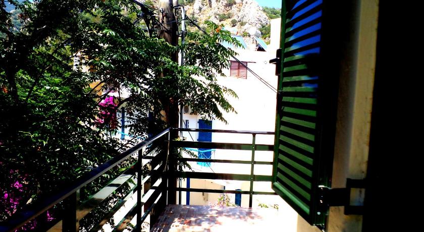 Icthyoessa photo