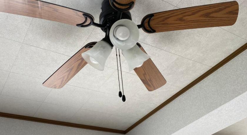 冲绳岛 Sun Sea GuestHouse 3星级 单人房 大堂