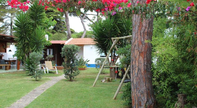 Casinha do pinhal