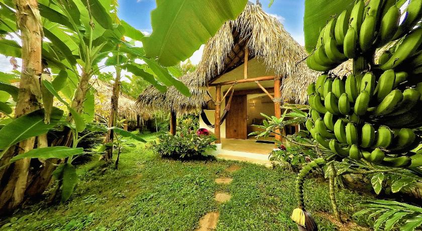 Casa Picaflor — Hotel in Las Terrenas