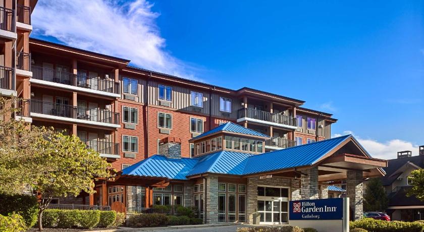 Hilton Garden Inn Gatlinburg photo