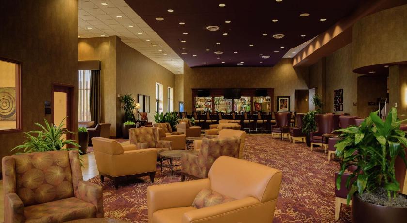Embassy Suites by Hilton Minneapolis North photo
