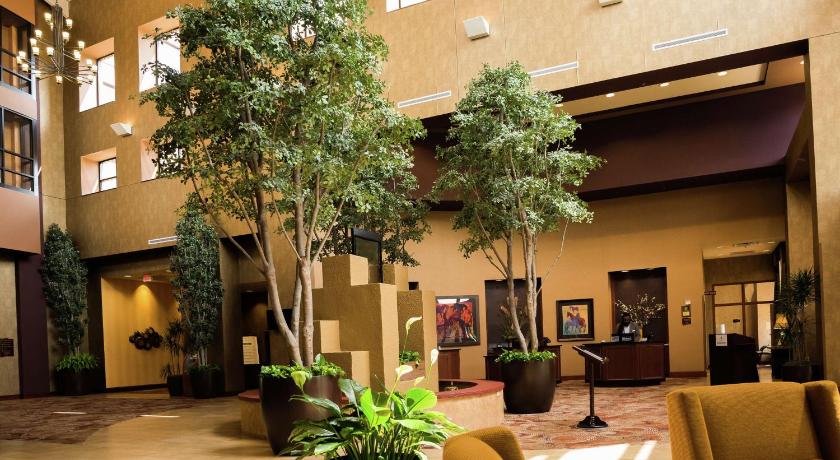 Embassy Suites by Hilton Minneapolis North photo