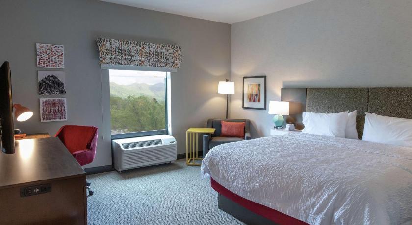 Hampton Inn Black Mountain photo
