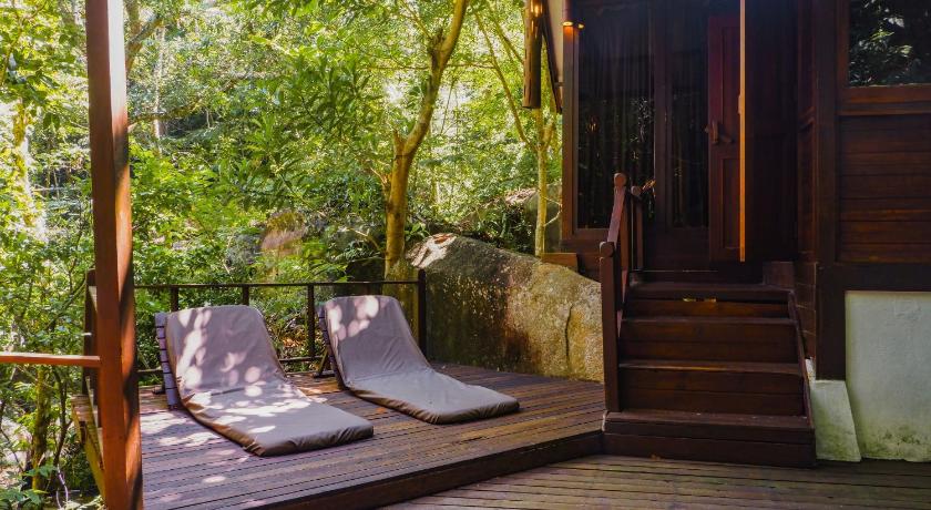 Image of Jungle Luxe Sarang 12