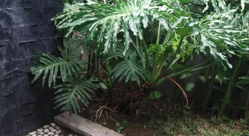 Come Back Guesthouse photo