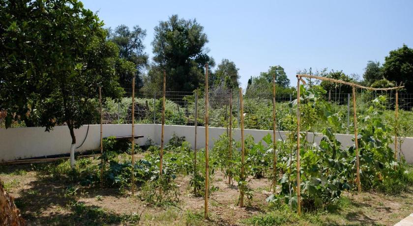 Villa Xampelo photo