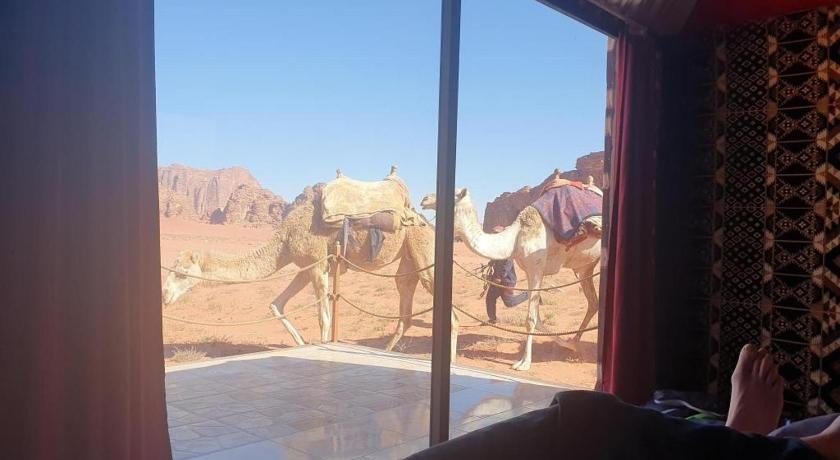 Wadi Rum Sky Tours & Camp photo