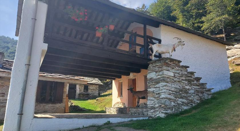 库尔马约尔 Gran Paradiso 4星级 民宿 大堂