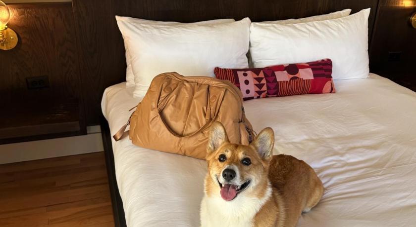 The Francis Hotel photo
