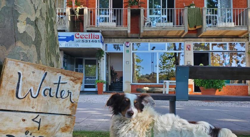 Pereira Guesthouse Cecilia Inn — Hotel in Fatima