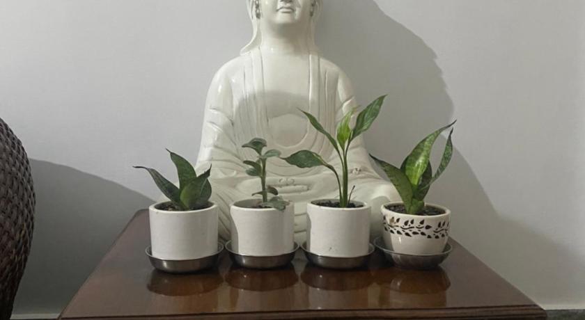 Lasaya apartment photo