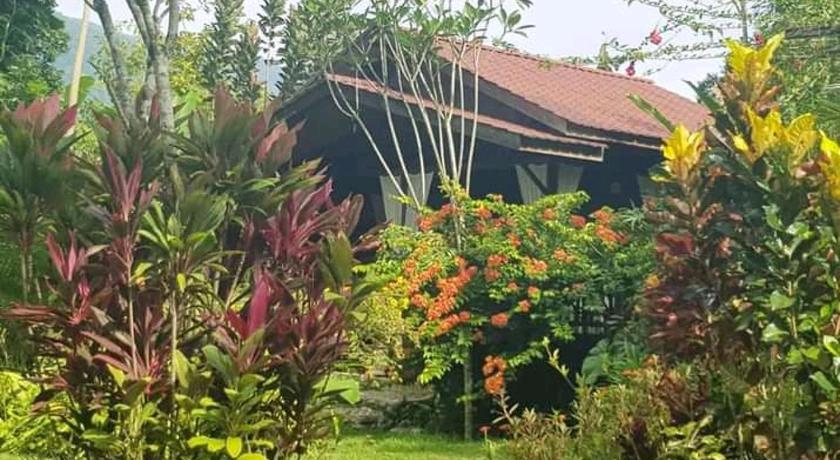 Tampilan Thousand hills peaceful bungalows and expert jungle treks