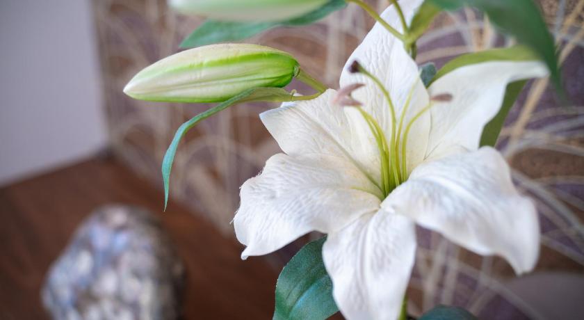 沖縄本島 トワイライトヒルズ Twilight Hills 4つ星 シングルルーム 施設