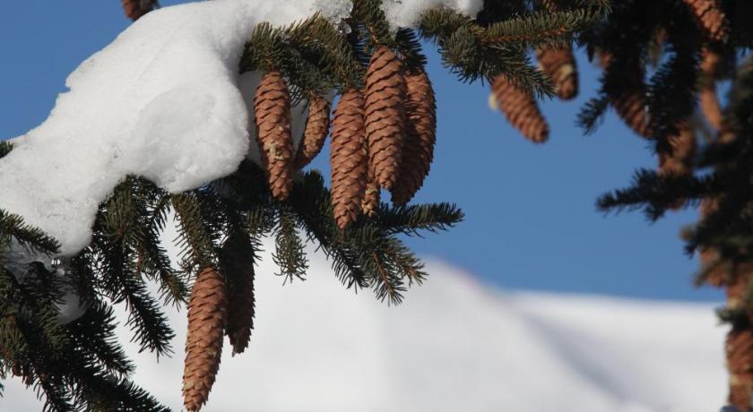 Chalet-Hotel Le Beausoleil, The Originals Relais (Hotel-Chalet de Tradition)