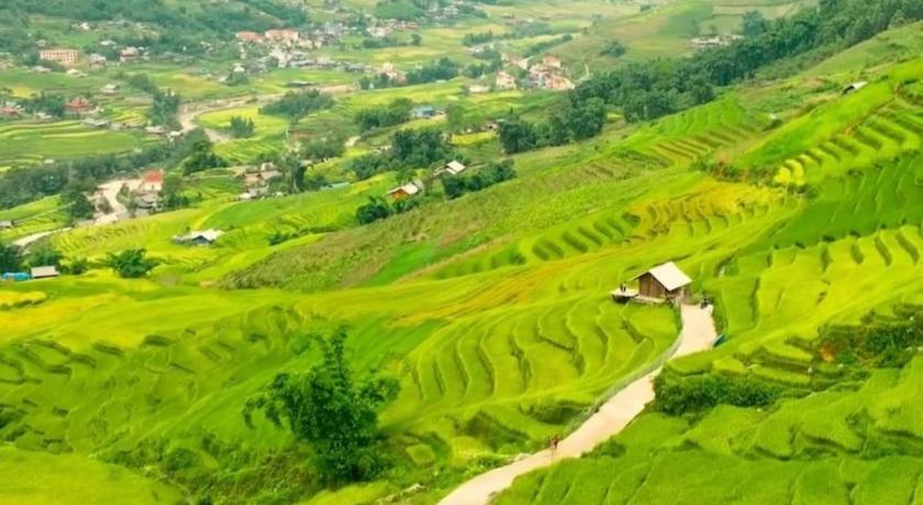 Sau Meo Mountain View photo