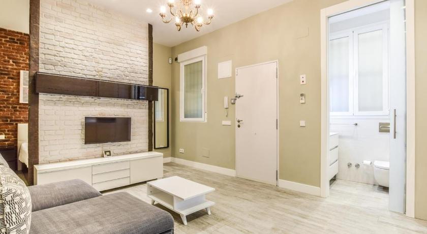 APARTMENT LOFT LAVAPIES — Hotel in Madrid