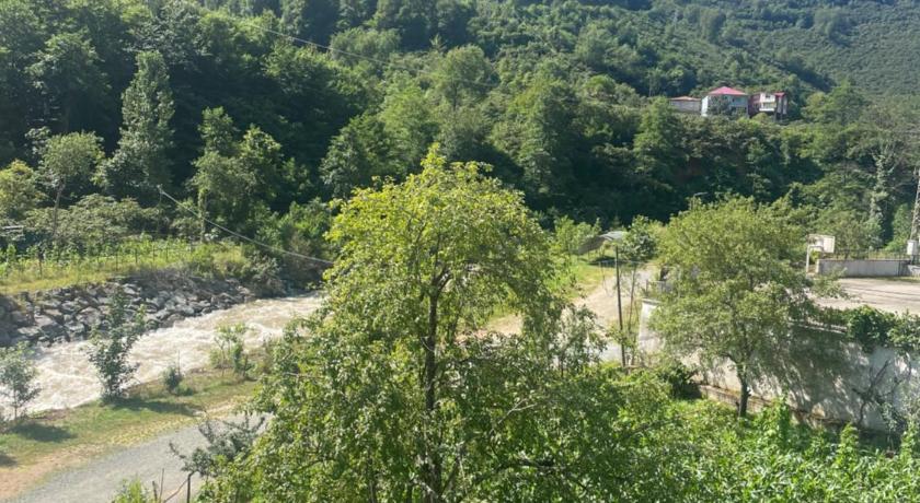 Yesil ve huzur dolu bir daire