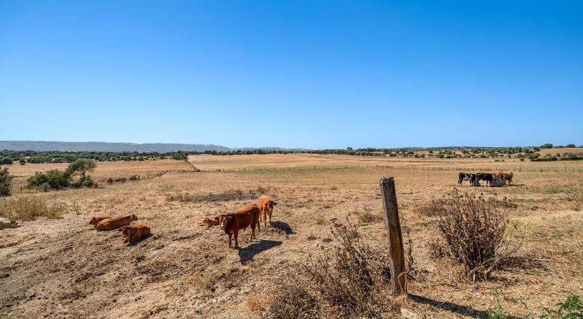 巴尔德贝瓦斯 Casa Andrea 4星级 单人房 客房