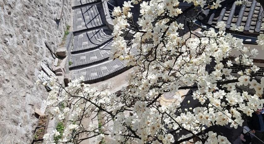 서울 삼청동 코리아 게스트하우스 (Samcheongdong Korea Guesthouse) 호텔 로비