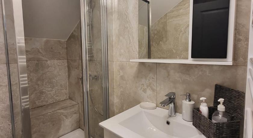 蒂米什瓦拉 Maria City Apartament 3星级 单人房 客房