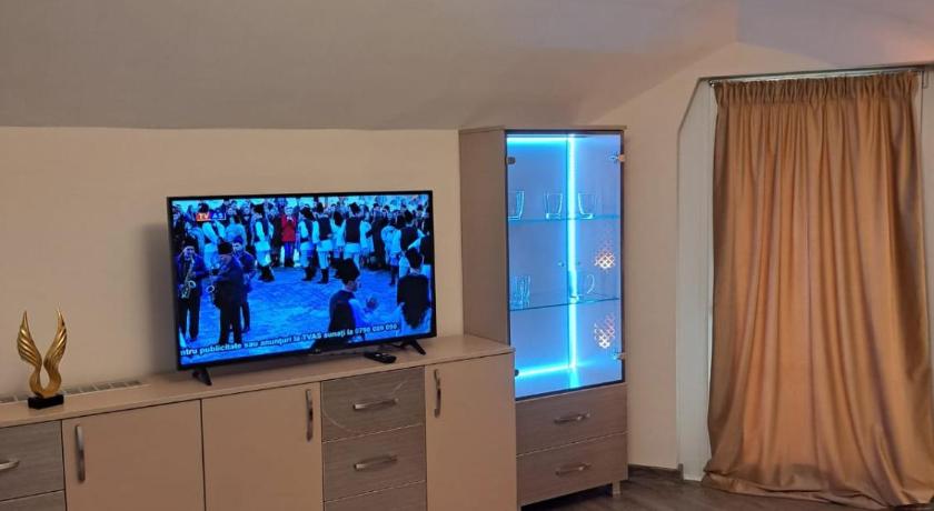 蒂米什瓦拉 Maria City Apartament 3星级 单人房 大堂