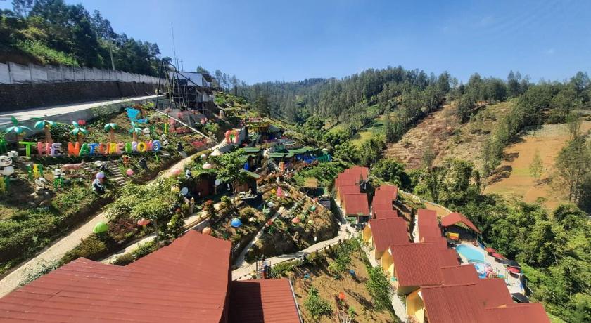 The Nature Bromo Hotel and resort - image 48