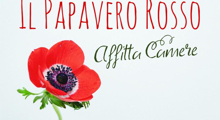 Il papavero rosso