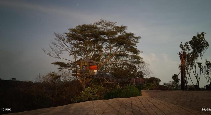 Rollaas Hotel and Resort - image 28
